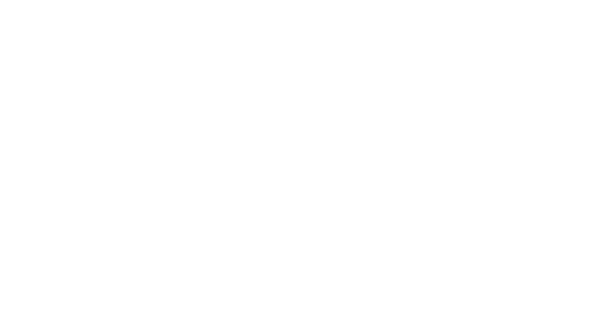 Nordic Rice